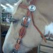 custom Headstall